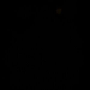 Meet your Posher, Damaris